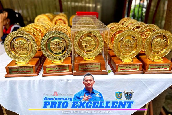 gallery-pesta-1